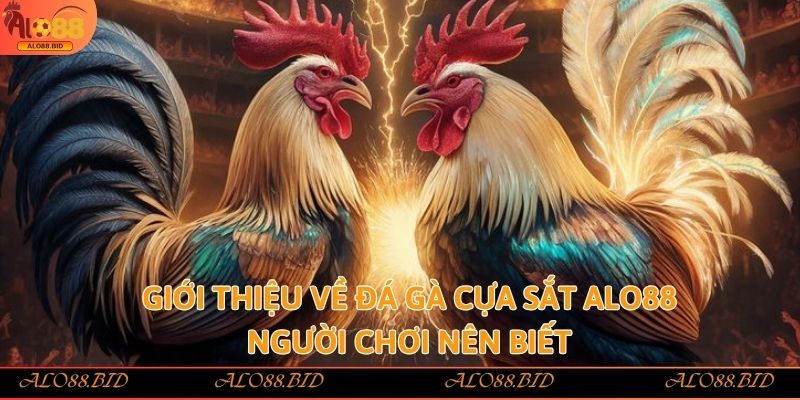 Giới thiệu về đá gà cựa sắt alo88 người chơi nên biết